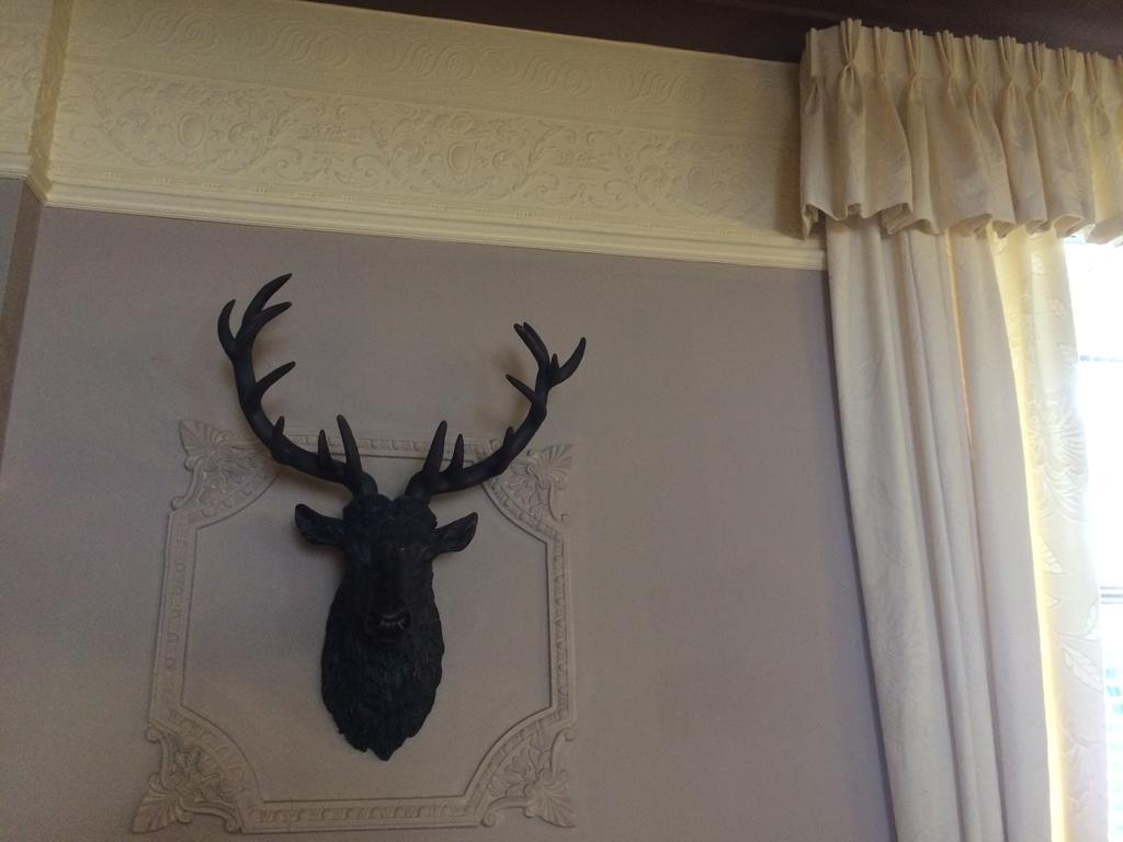 Elm Guest House Hawick Zewnętrze zdjęcie